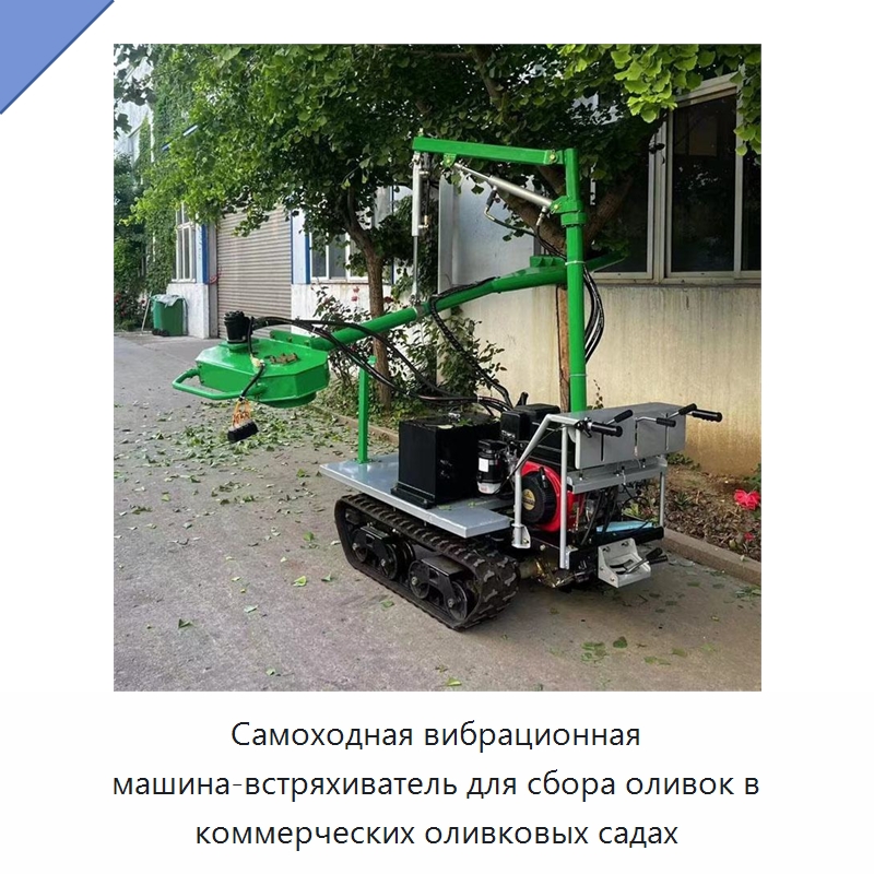 Самоходная вибрационная машина-встряхиватель для сбора оливок в коммерческих оливковых садах — Лесохозяйственная техника