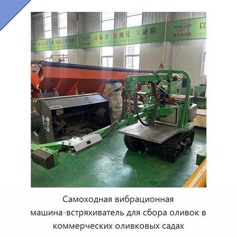 Самоходная вибрационная машина-встряхиватель для сбора оливок в коммерческих оливковых садах