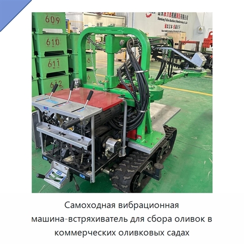 Самоходная вибрационная машина-встряхиватель для сбора оливок в коммерческих оливковых садах