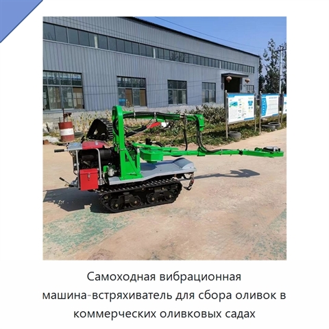 Самоходная вибрационная машина-встряхиватель для сбора оливок в коммерческих оливковых садах