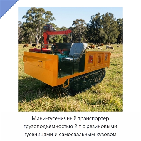 Мини-гусеничный транспортёр грузоподъёмностью 2 т с резиновыми гусеницами и самосвальным кузовом