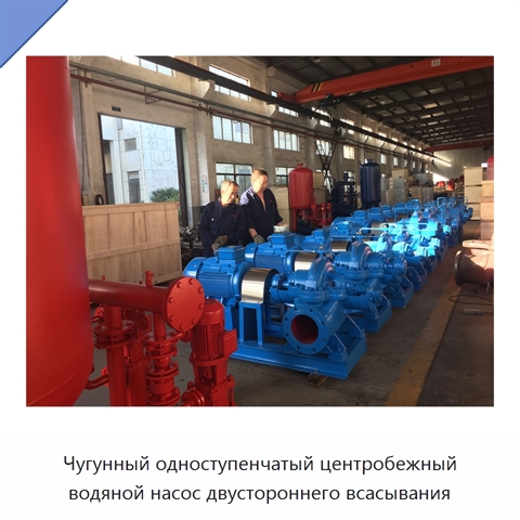 Чугунный одноступенчатый центробежный водяной насос двустороннего всасывания