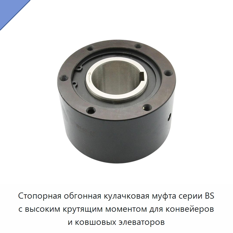 Стопорная обгонная кулачковая муфта серии BS с высоким крутящим моментом для конвейеров и ковшовых элеваторов — Подшипники