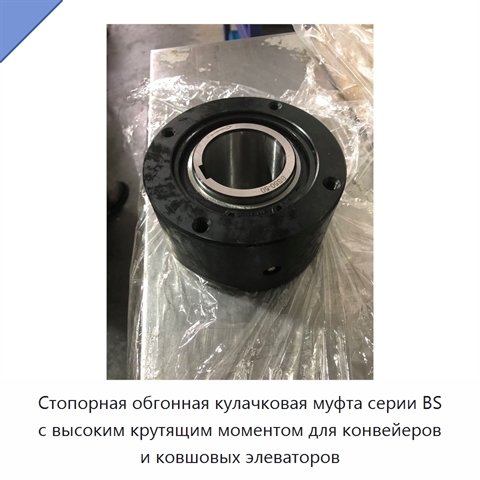Стопорная обгонная кулачковая муфта серии BS с высоким крутящим моментом для конвейеров и ковшовых элеваторов