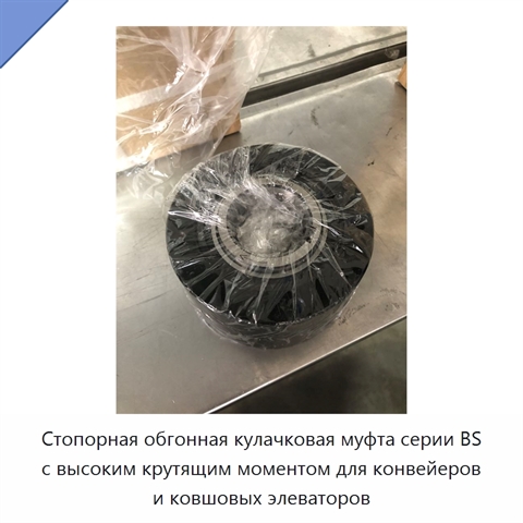 Стопорная обгонная кулачковая муфта серии BS с высоким крутящим моментом для конвейеров и ковшовых элеваторов