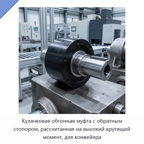 Кулачковая обгонная муфта с обратным стопором, рассчитанная на высокий крутящий момент, для конвейера