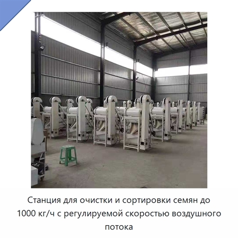 Станция для очистки и сортировки семян до 1000 кг/ч с регулируемой скоростью воздушного потока