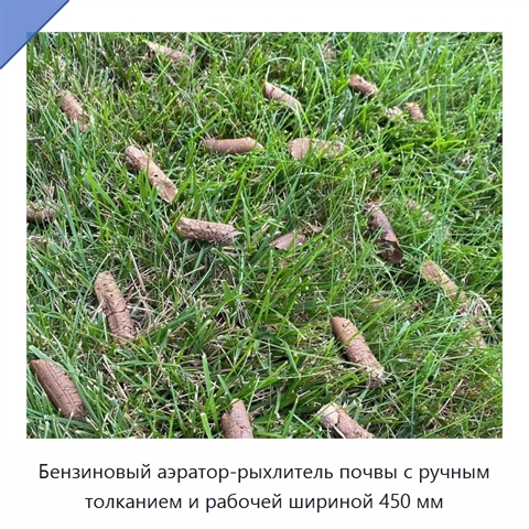 Бензиновый аэратор-рыхлитель почвы с ручным толканием и рабочей шириной 450 мм