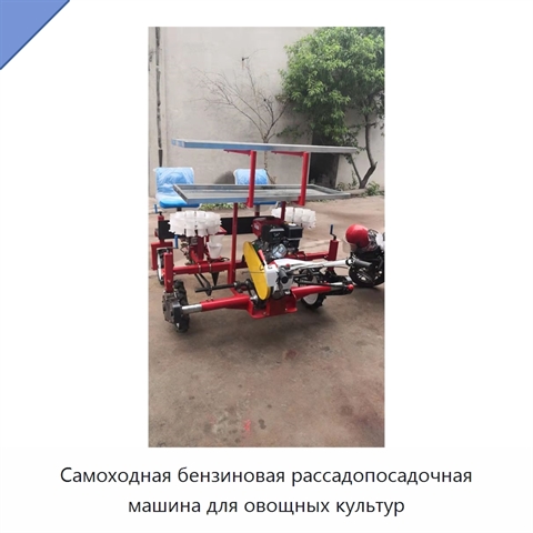Самоходная бензиновая рассадопосадочная машина для овощных культур