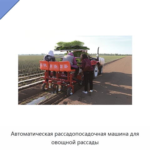 Автоматическая рассадопосадочная машина для овощной рассады