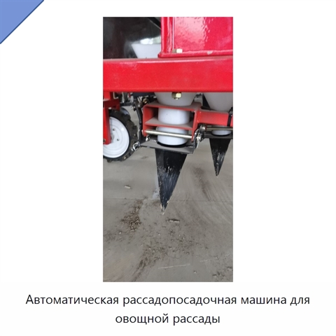 Автоматическая рассадопосадочная машина для овощной рассады