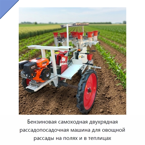 Бензиновая самоходная двухрядная рассадопосадочная машина для овощной рассады на полях и в теплицах