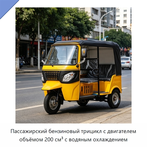 Пассажирский бензиновый трицикл с двигателем объёмом 200 см³ с водяным охлаждением