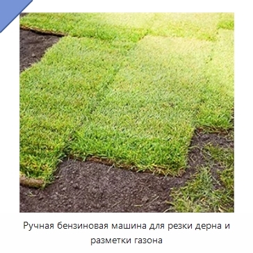 Ручная бензиновая машина для резки дерна и разметки газона