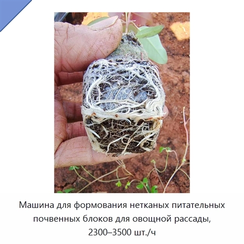 Машина для формования нетканых питательных почвенных блоков для овощной рассады, 2300–3500 шт./ч