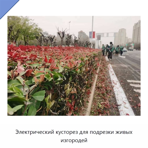 Электрический кусторез для подрезки живых изгородей