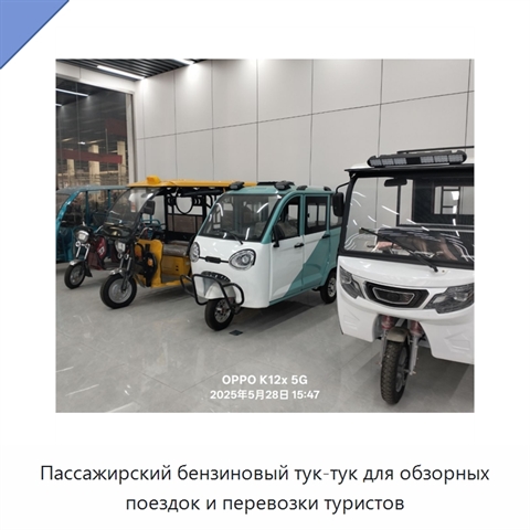 Пассажирский бензиновый тук-тук для обзорных поездок и перевозки туристов