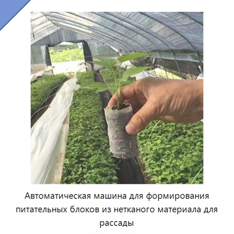 Автоматическая машина для формирования питательных блоков из нетканого материала для рассады