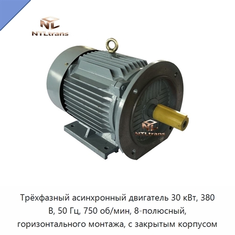 Трёхфазный асинхронный двигатель 30 кВт, 380 В, 50 Гц, 750 об/мин, 8-полюсный, горизонтального монтажа, с закрытым корпусом