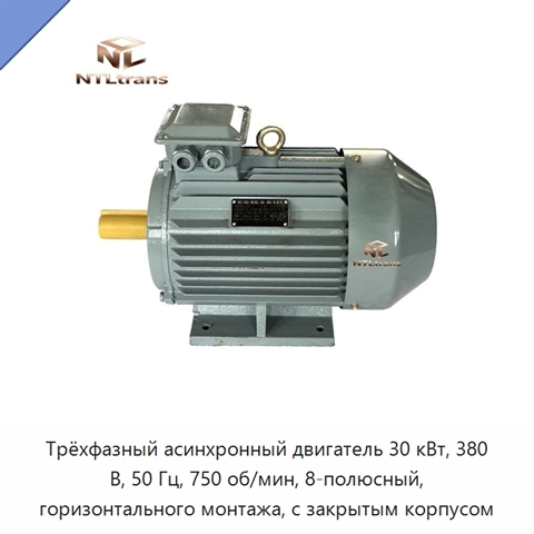 Трёхфазный асинхронный двигатель 30 кВт, 380 В, 50 Гц, 750 об/мин, 8-полюсный, горизонтального монтажа, с закрытым корпусом