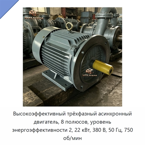 Высокоэффективный трёхфазный асинхронный двигатель, 8 полюсов, уровень энергоэффективности 2, 22 кВт, 380 В, 50 Гц, 750 об/мин