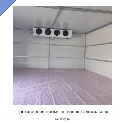 Трёхдверная промышленная холодильная камера