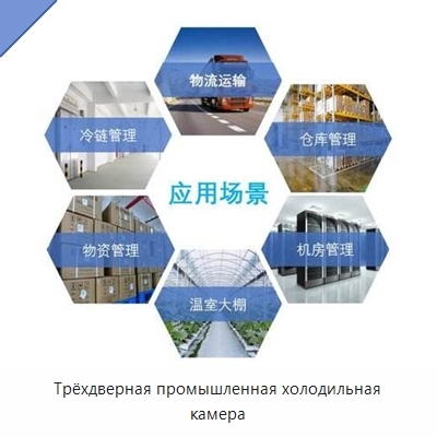 Трёхдверная промышленная холодильная камера