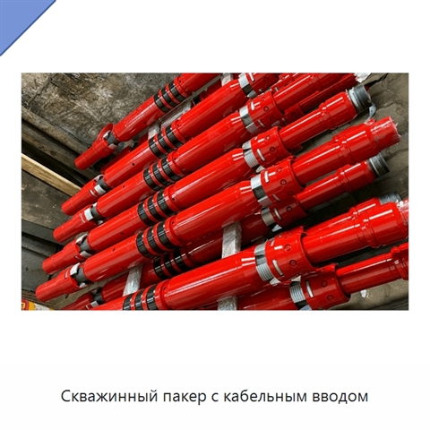 Скважинный пакер с кабельным вводом