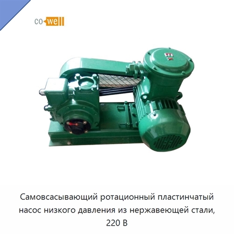 Самовсасывающий ротационный пластинчатый насос низкого давления из нержавеющей стали, 220 В