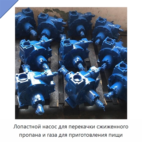 Лопастной насос для перекачки сжиженного пропана и газа для приготовления пищи