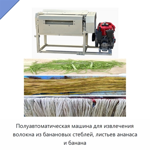 Полуавтоматическая машина для извлечения волокна из банановых стеблей, листьев ананаса и банана