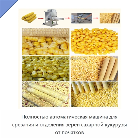 Полностью автоматическая машина для срезания и отделения зёрен сахарной кукурузы от початков