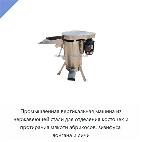 Промышленная вертикальная машина из нержавеющей стали для отделения косточек и протирания мякоти абрикосов, зизифуса, лонгана и личи