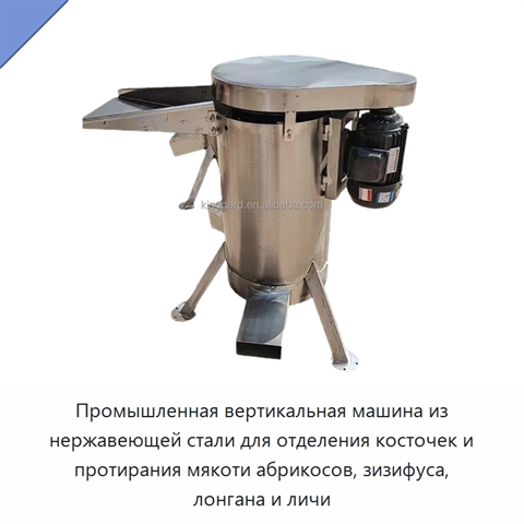 Промышленная вертикальная машина из нержавеющей стали для отделения косточек и протирания мякоти абрикосов, зизифуса, лонгана и личи