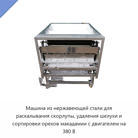 Машина из нержавеющей стали для раскалывания скорлупы, удаления шелухи и сортировки орехов макадамии с двигателем на 380 В
