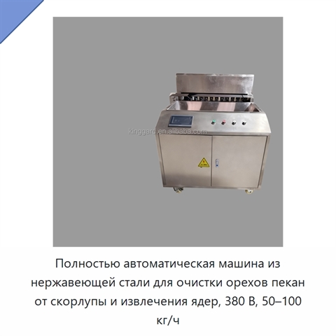 Полностью автоматическая машина из нержавеющей стали для очистки орехов пекан от скорлупы и извлечения ядер, 380 В, 50–100 кг/ч