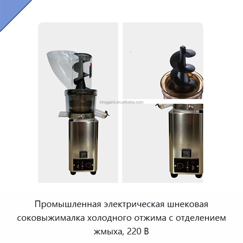 Промышленная электрическая шнековая соковыжималка холодного отжима с отделением жмыха, 220 В