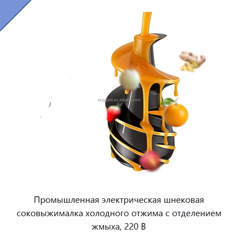 Промышленная электрическая шнековая соковыжималка холодного отжима с отделением жмыха, 220 В
