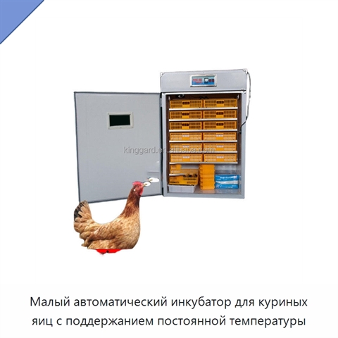 Малый автоматический инкубатор для куриных яиц с поддержанием постоянной температуры