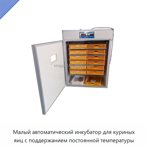 Малый автоматический инкубатор для куриных яиц с поддержанием постоянной температуры