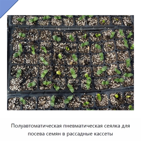 Полуавтоматическая пневматическая сеялка для посева семян в рассадные кассеты