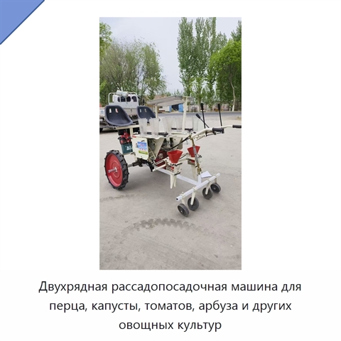 Двухрядная рассадопосадочная машина для перца, капусты, томатов, арбуза и других овощных культур