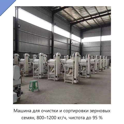 Машина для очистки и сортировки зерновых семян, 800–1200 кг/ч, чистота до 95 %